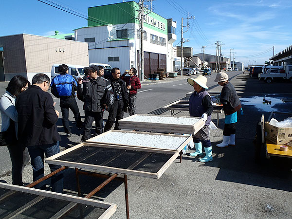 しらす